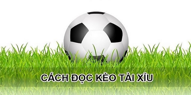 Tìm Hiểu Kèo Tài Xỉu Và Những Kinh Nghiệm Cần Biết 6 keo-tai-xiu-cac-doc-keo